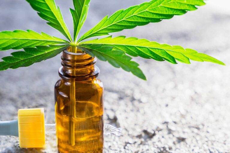 What Makes CBD Different From THC?