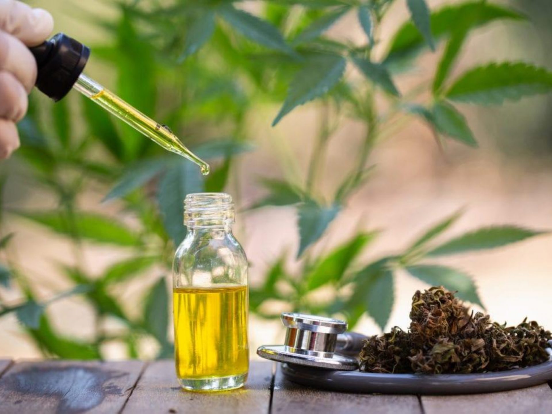 Everything You Need to Know About Hemp Oil Tinctures